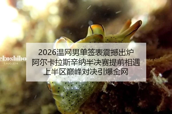 2026温网男单签表震撼出炉 阿尔卡拉斯辛纳半决赛提前相遇 上半区巅峰对决引爆全网